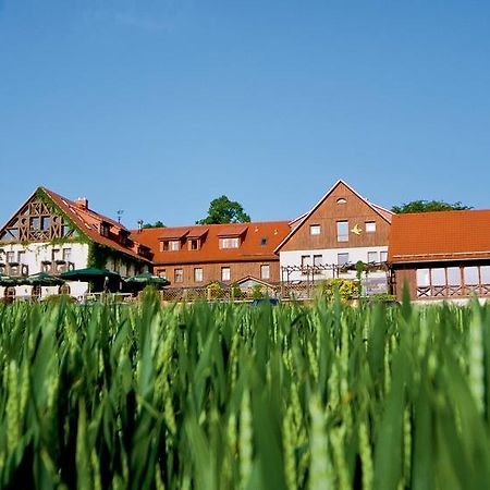 Hotel Neue Hoehe Klingenberg Eksteriør billede