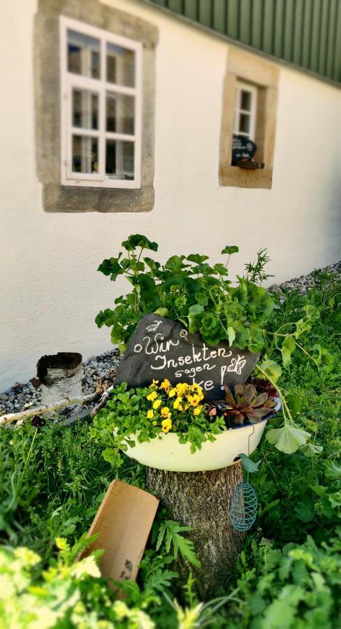 Hotel Neue Hoehe Klingenberg Eksteriør billede