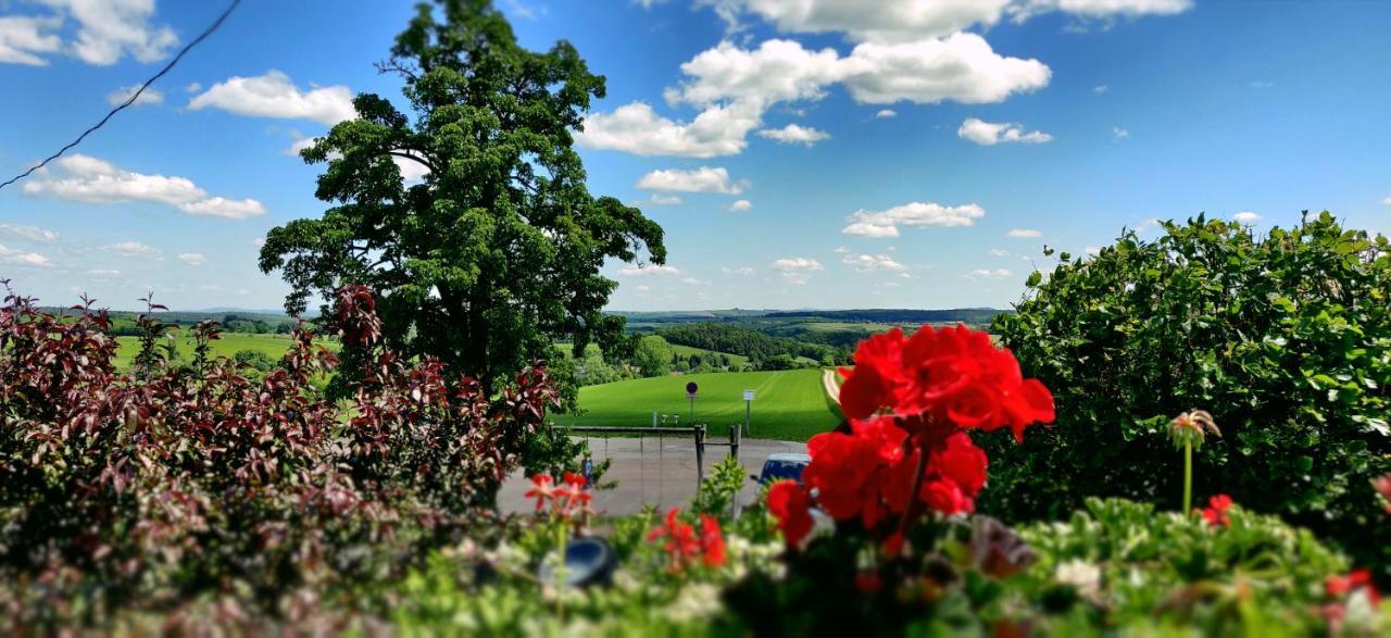 Hotel Neue Hoehe Klingenberg Eksteriør billede