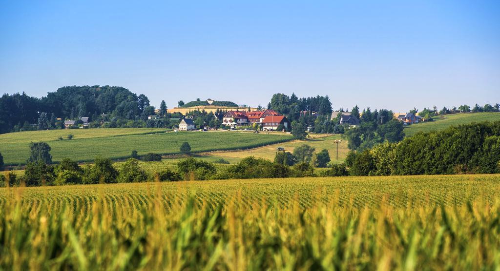 Hotel Neue Hoehe Klingenberg Eksteriør billede